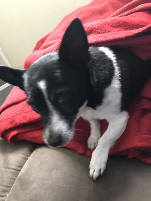 Nanango Star Motel - Northern Rivers Accommodation 15