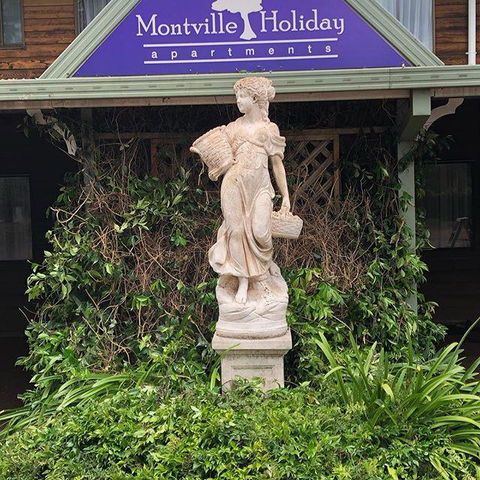 Montville Holiday Apartments - Northern Rivers Accommodation 6