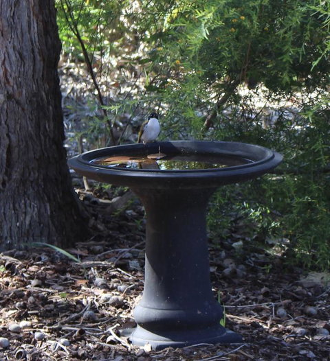 Waterside View - Northern Rivers Accommodation 3