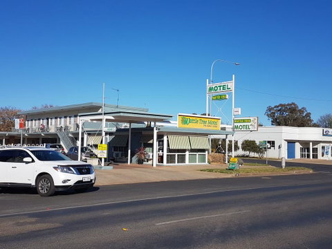 Wattle Tree Motel - Northern Rivers Accommodation 0