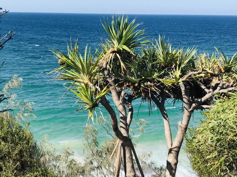 Waves And White Horses Seaview Retreat (adults Only) - Northern Rivers Accommodation 0