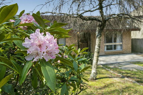 Wentworth Rose - Northern Rivers Accommodation 2