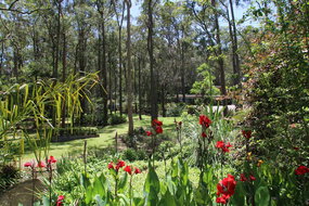 Book Mount Hutton Accommodation Northern Rivers Accommodation Northern Rivers Accommodation