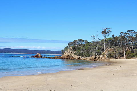 Whale Cove Circuit - Northern Rivers Accommodation 1