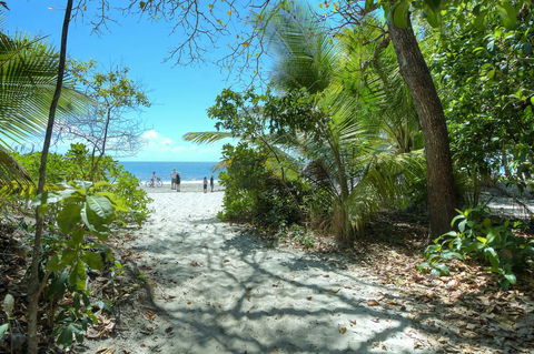 Whispering Palms - Northern Rivers Accommodation 1