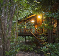 Wildwood - Northern Rivers Accommodation