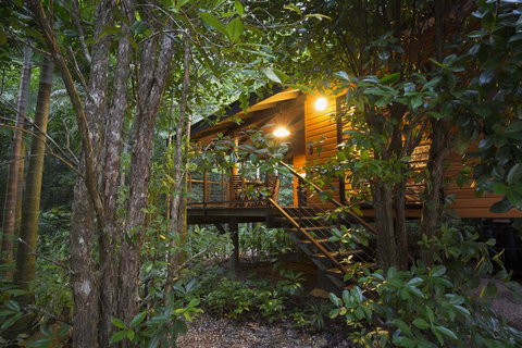 Wildwood - Northern Rivers Accommodation 0
