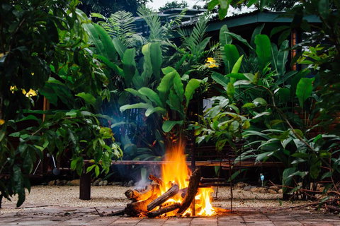 Wildwood - Northern Rivers Accommodation 2