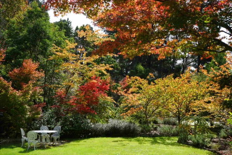 Wimbeldon - Northern Rivers Accommodation 3