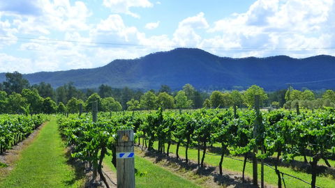 Winmark Wines - Northern Rivers Accommodation 1