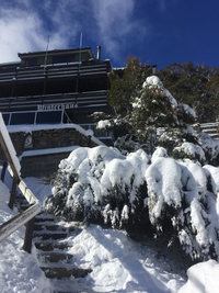 Book Thredbo Accommodation Vacations Northern Rivers Accommodation Northern Rivers Accommodation