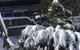Winterhaus Lodge Thredbo Village - thumb 0