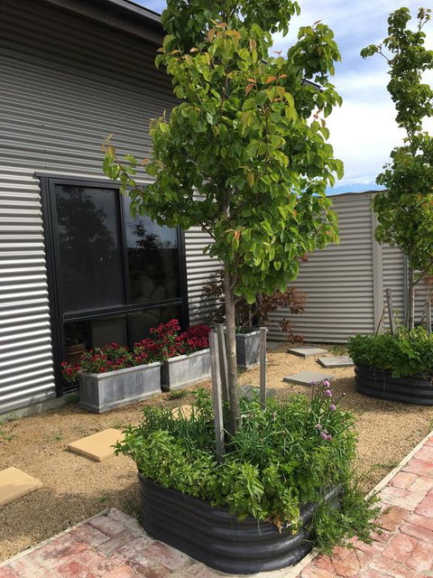 Woolamai Dreaming - Northern Rivers Accommodation 2