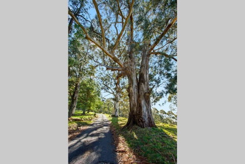 WOOLWAY - Northern Rivers Accommodation 1