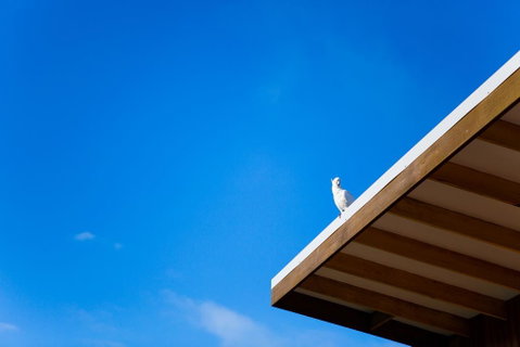Wye Not Escape - Northern Rivers Accommodation 0
