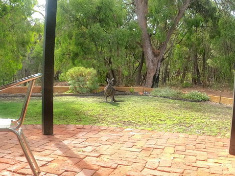 Yallingup Pet Friendly Bush Retreat - Northern Rivers Accommodation 3
