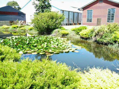 Yarragon Dairy Family Room - Northern Rivers Accommodation 1