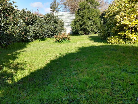 Young Goldrush Motel - Northern Rivers Accommodation 2