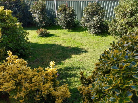 Young Goldrush Motel - Northern Rivers Accommodation 3