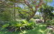 A Charming Queenslander - thumb 1