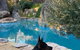 A Paradise For Dogs And A Magical Retreat For Hoomans - thumb 4