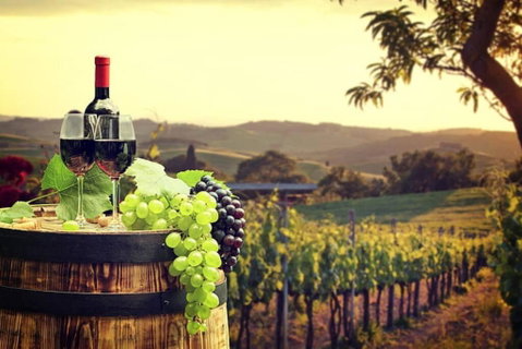 Alma Retreat, King Bed, Family, Pet Friendly - Northern Rivers Accommodation 4