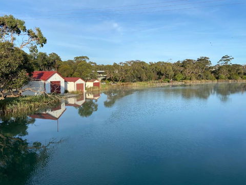 Anglesea Rivergums - Northern Rivers Accommodation 1