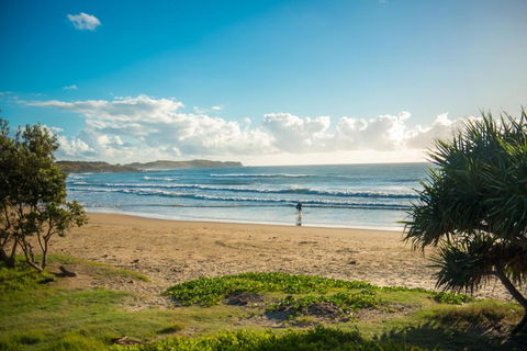 ArtHOUSE Beachfront Accommodation - Northern Rivers Accommodation 1