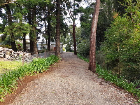 Bee-Haven Cottage - Northern Rivers Accommodation 4