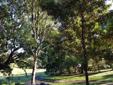 Bee-Haven Cottage - Northern Rivers Accommodation 7