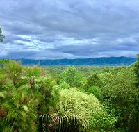 Daintree Manor BB - Northern Rivers Accommodation