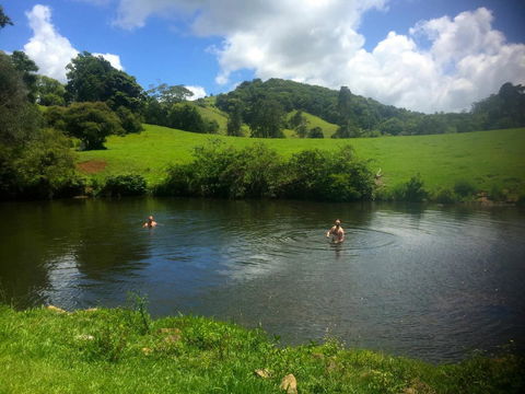 Maleny Springs Farm - Northern Rivers Accommodation 34