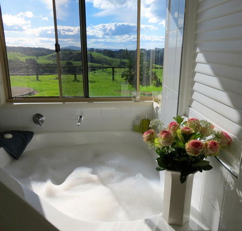 Maleny Springs Farm - Northern Rivers Accommodation 4