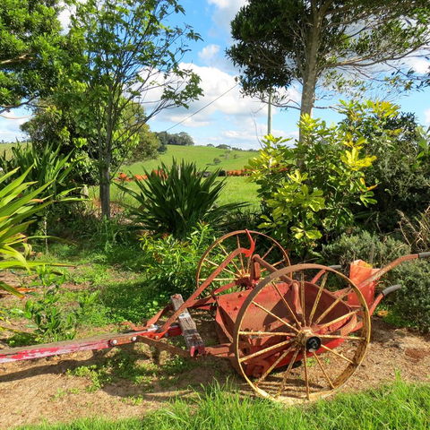 Maleny Springs Farm - Northern Rivers Accommodation 37