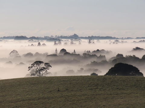 Maleny Springs Farm - Northern Rivers Accommodation 22