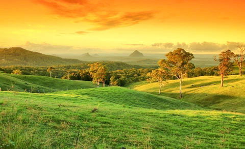 Maleny Springs Farm - Northern Rivers Accommodation 20