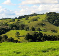 Maleny Springs Farm - Northern Rivers Accommodation