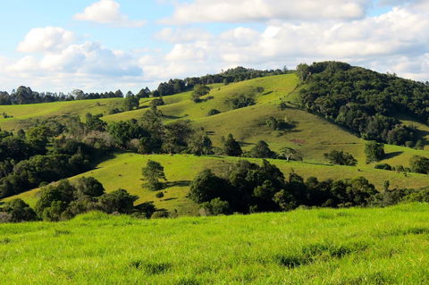 Maleny Springs Farm - Northern Rivers Accommodation 0