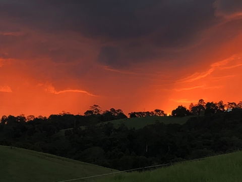 Maleny Springs Farm - Northern Rivers Accommodation 6