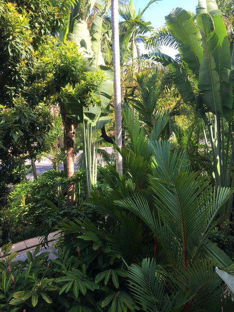 Port Douglas Apartments - Adults Only Oasis - Northern Rivers Accommodation 1