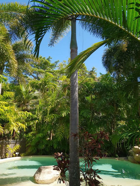 Cassawong Cottages - Northern Rivers Accommodation 16
