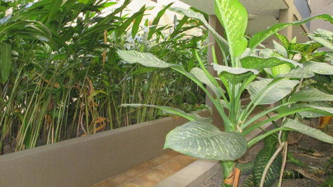 Edge Apartments Cairns - Northern Rivers Accommodation 39