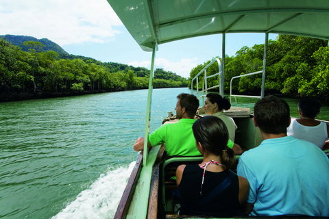 Martinique On Macrossan - Northern Rivers Accommodation 28