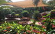 Tropical Palms Resort & 4WD Hire - thumb 23
