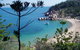 Tropical Palms Resort & 4WD Hire - thumb 33