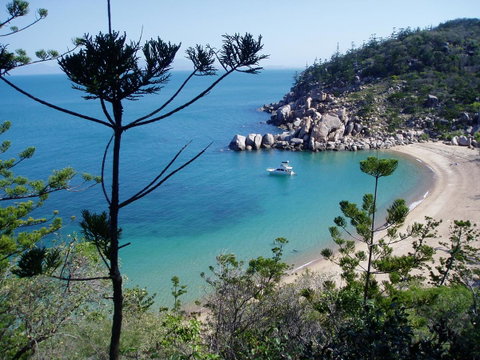 Tropical Palms Resort & 4WD Hire - Northern Rivers Accommodation 33