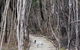 Flinders Island Glamping - thumb 12