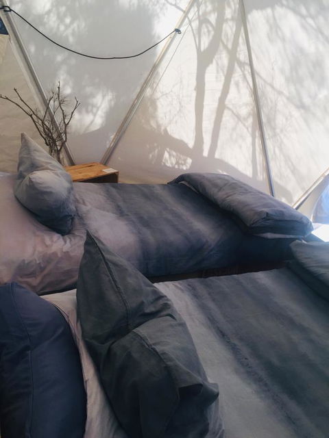 Flinders Island Glamping - Northern Rivers Accommodation 6