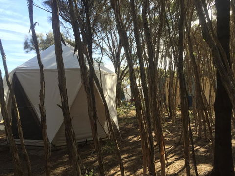 Flinders Island Glamping - Northern Rivers Accommodation 7