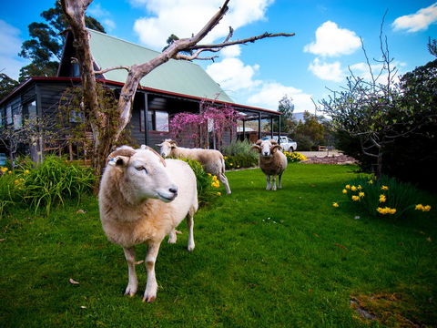 Parnella Adventure Bay, Bruny Island - Northern Rivers Accommodation 19